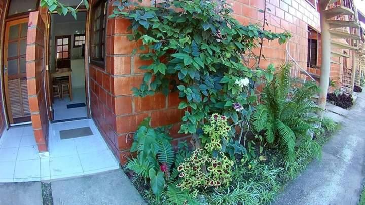 Apt Studio Maranduba Ville 1 Daire Ubatuba Dış mekan fotoğraf